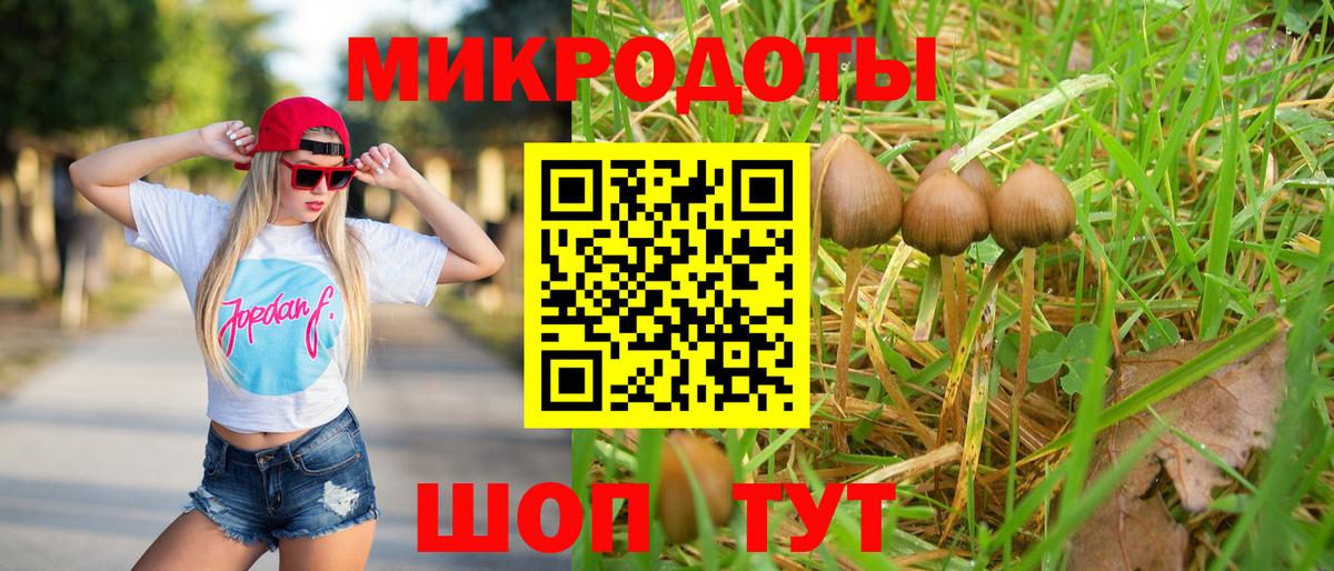 Галлюциногенные грибы Cubensis  Псилоцибиновые грибы мицелий  Югорск  Вход с VPN 